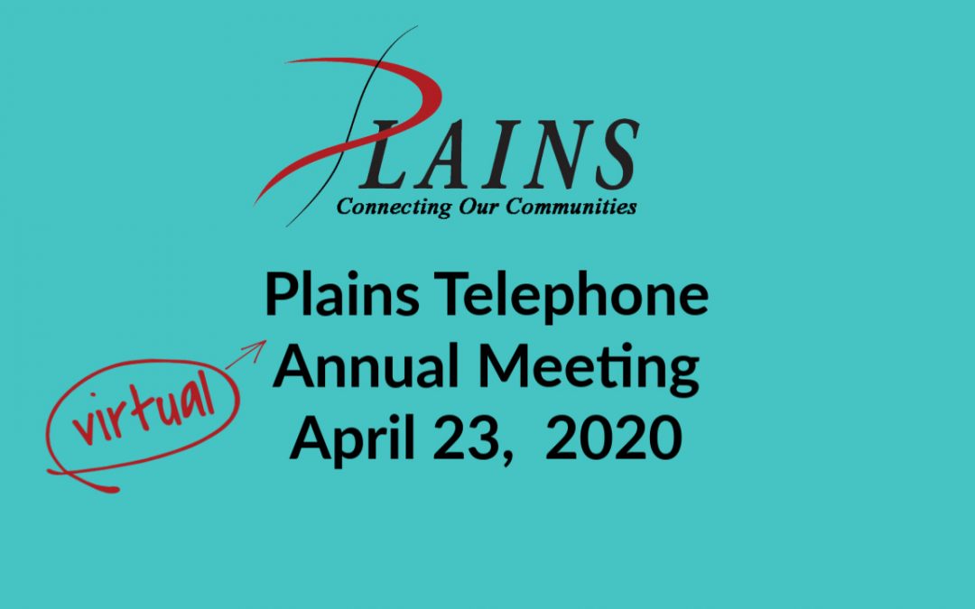 Our 2020 Annual Meeting